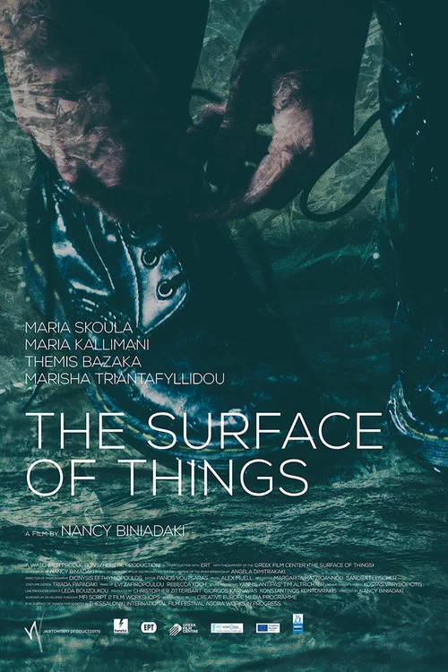 Постер: The Surface of Things