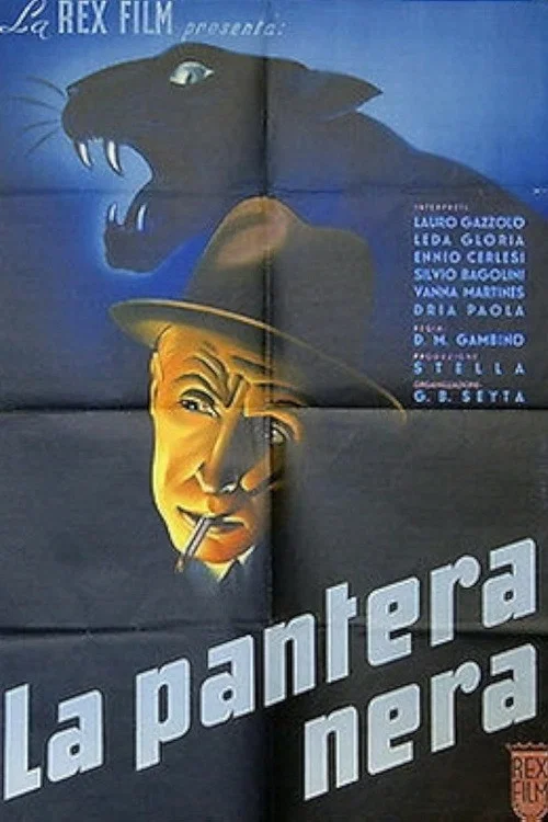 Постер: La pantera nera