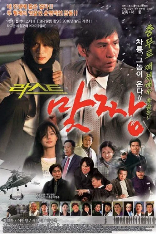 Постер: The Final Fight