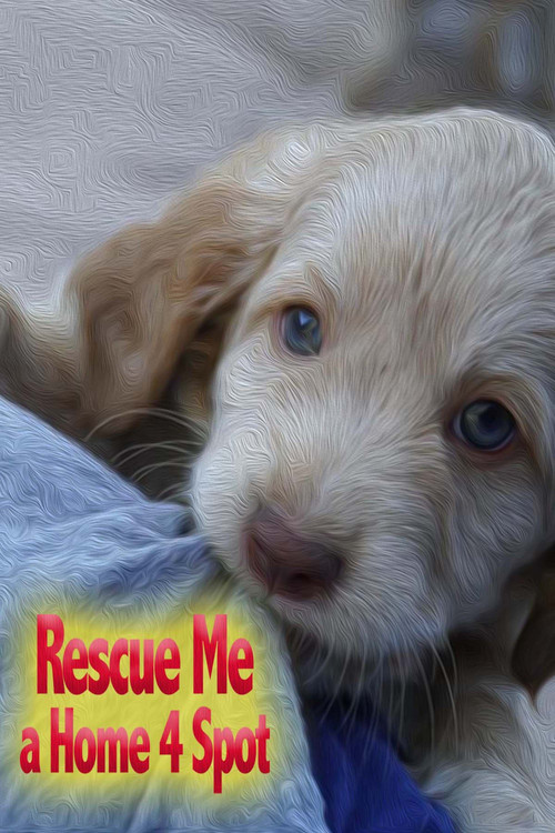Постер: Rescue Me: A Home 4 Spot