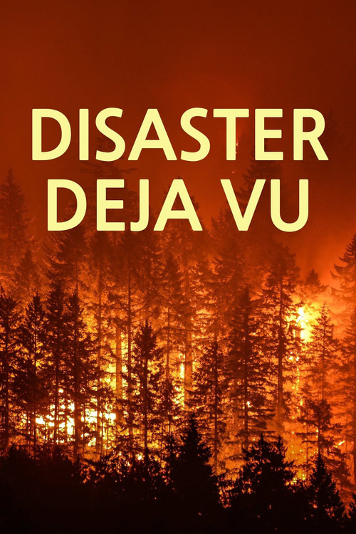 Постер: Disaster Deja vu