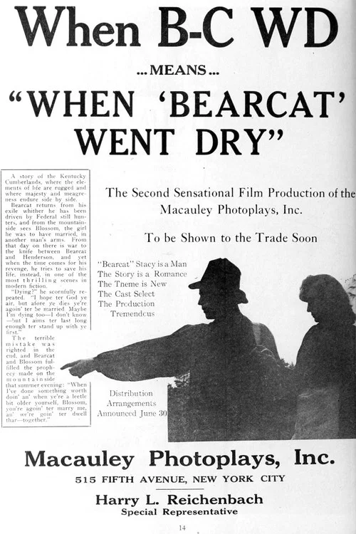 Постер: When Bearcat Went Dry