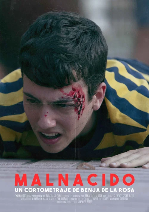 Постер: Malnacido
