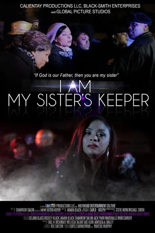 Постер: I Am My Sister's Keeper