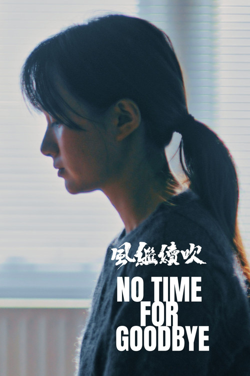 Постер: No Time for Goodbye
