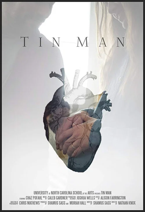 Постер: Tin Man