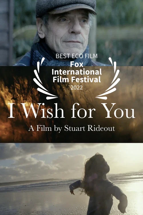 Постер: I Wish for You
