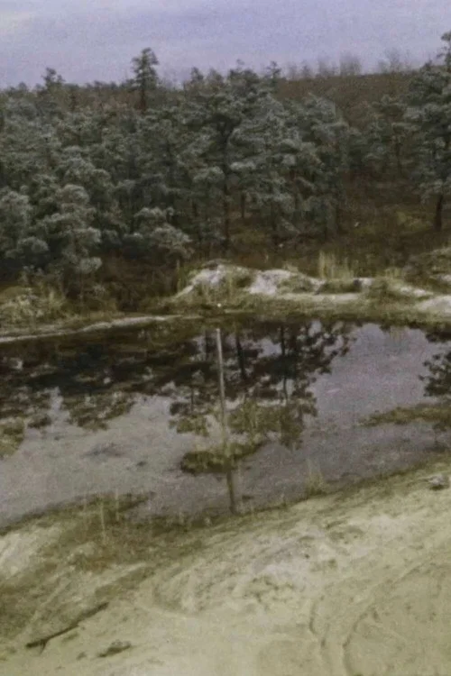 Постер: Pine Barrens