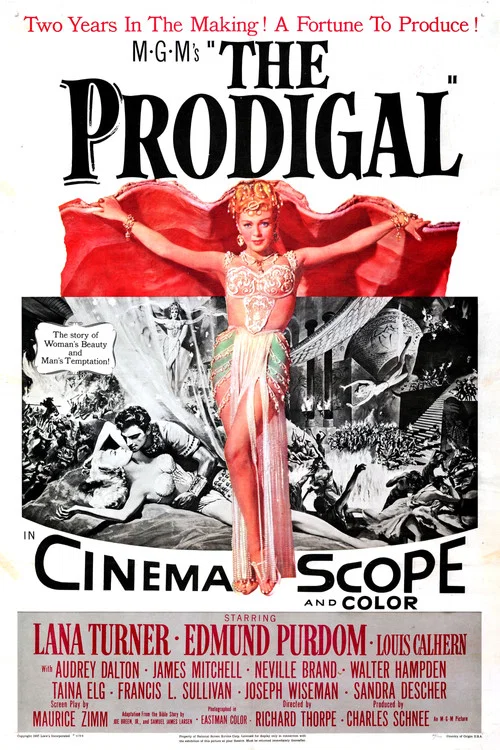 Постер: The Prodigal