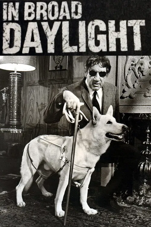 Постер: In Broad Daylight