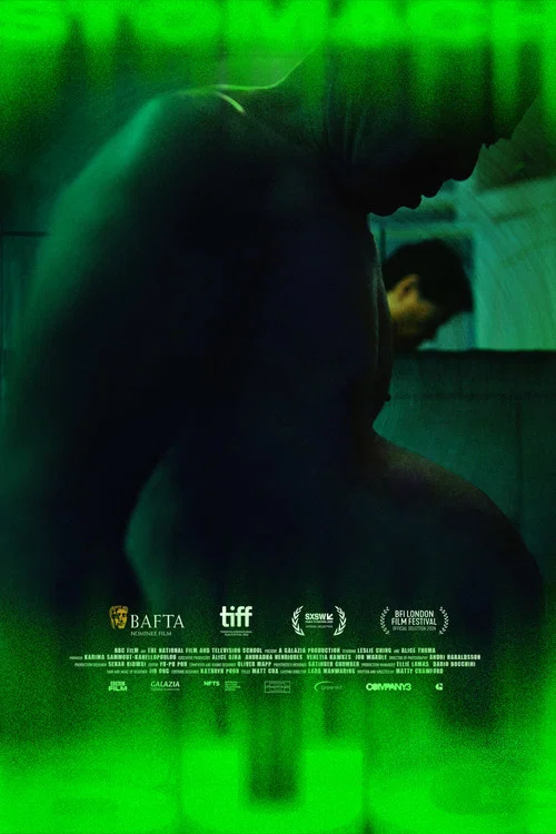 Постер: Stomach Bug
