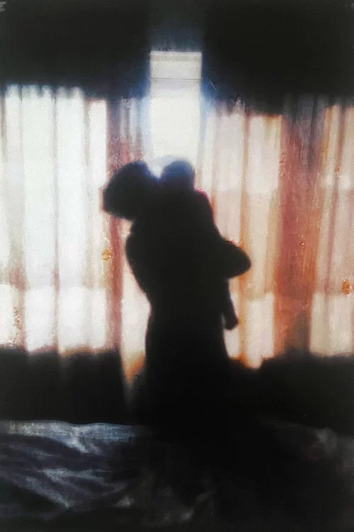 Постер: The Mother