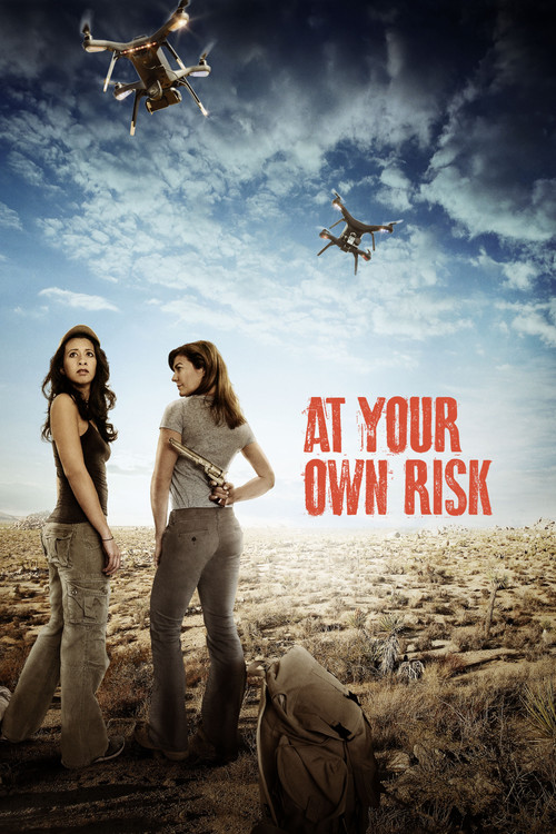 Постер: At Your Own Risk