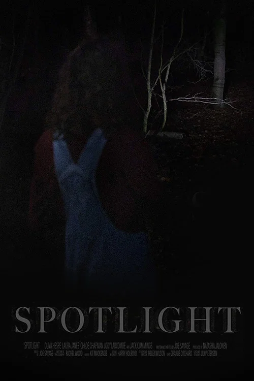 Постер: Spotlight