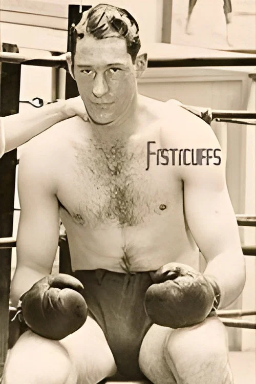 Постер: Fisticuffs