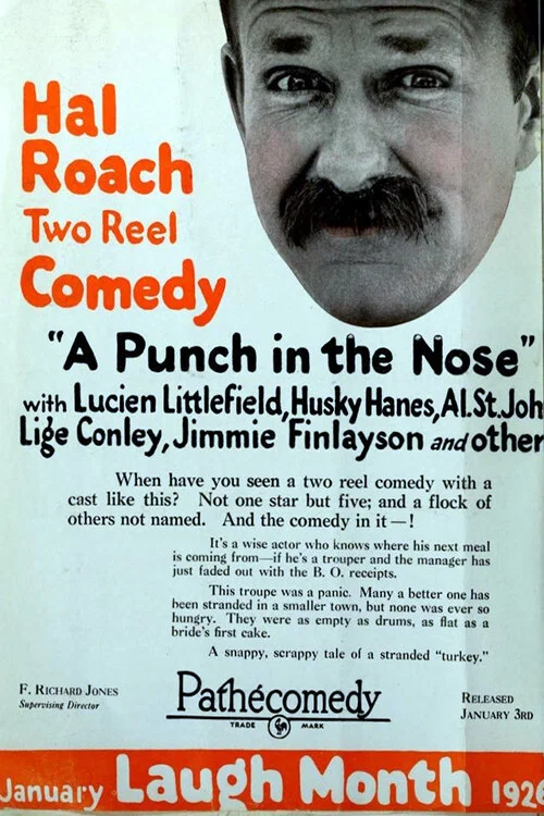 Постер: A Punch in the Nose