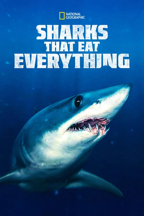 Постер: Sharks That Eat Everything