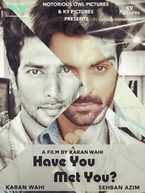 Постер: Have You Met You