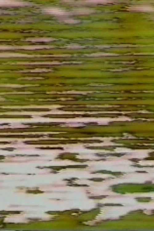 Постер: Mirror Road