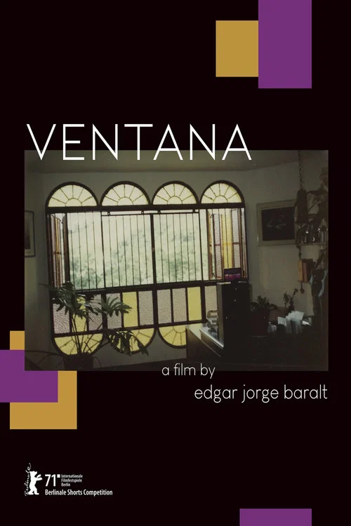 Постер: Window