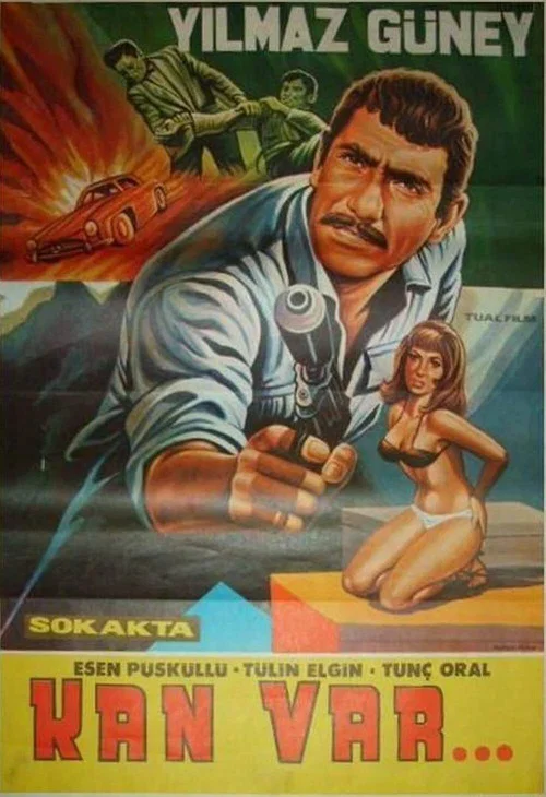 Постер: Sokakta kan vardi