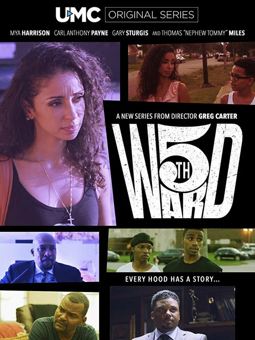 Постер: 5th Ward