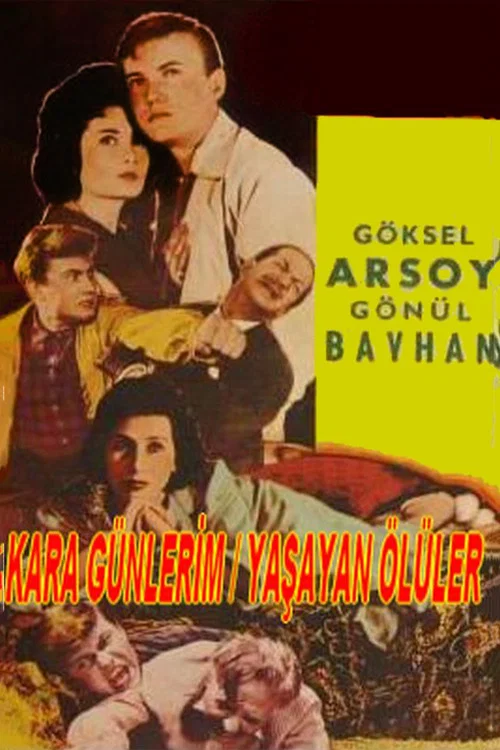 Постер: Kara günlerim
