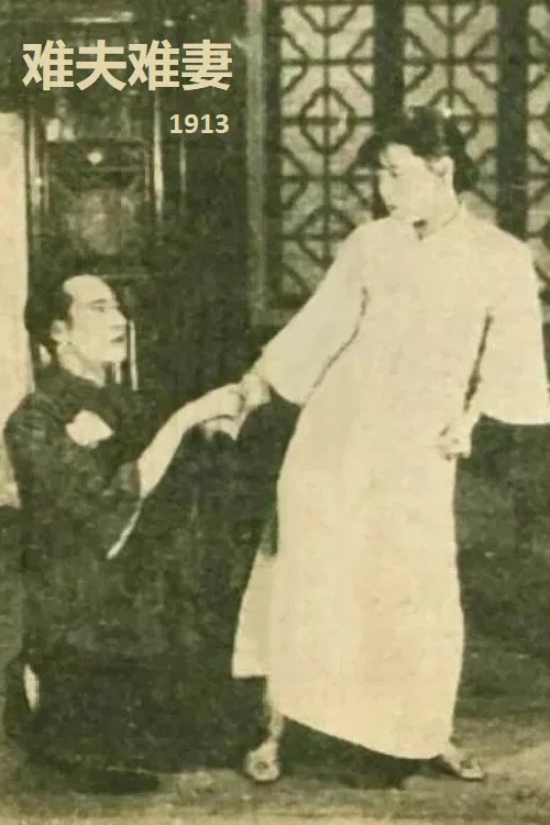 Постер: Nan fu nan qi