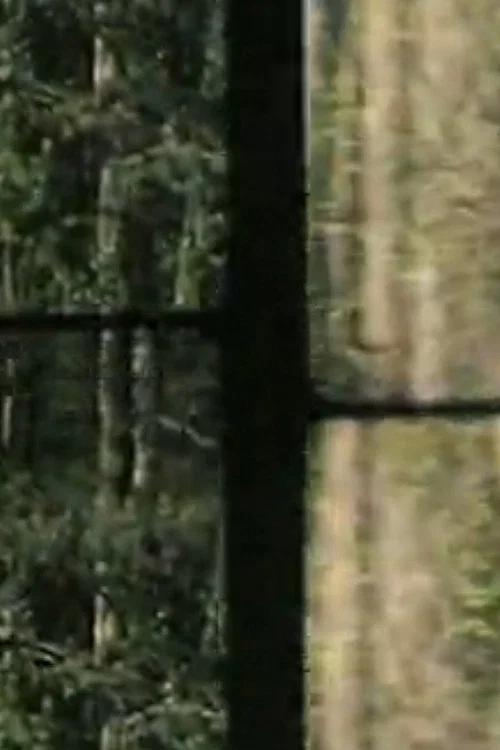 Постер: ARBRES