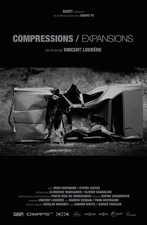 Постер: Compressions/Expansions