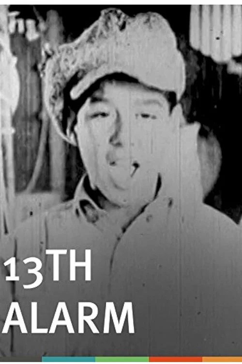 Постер: 13th Alarm