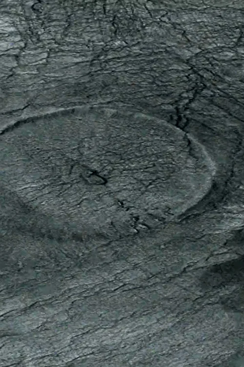 Постер: Whirlpool