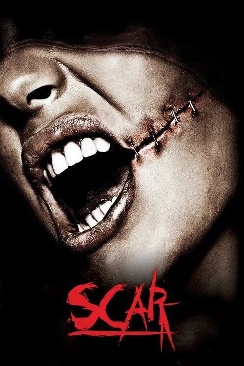 Постер: Scar