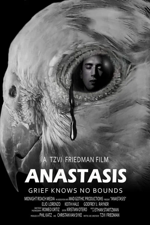 Постер: Anastasis
