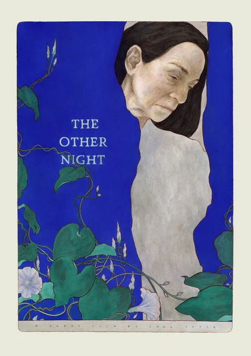 Постер: The Other Night
