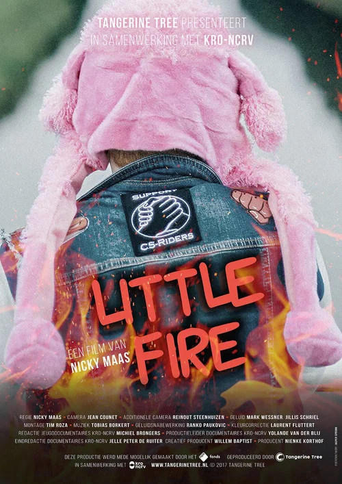 Постер: Little Fire
