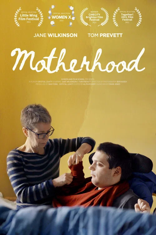 Постер: Motherhood