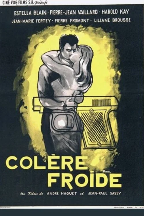 Постер: Colère froide