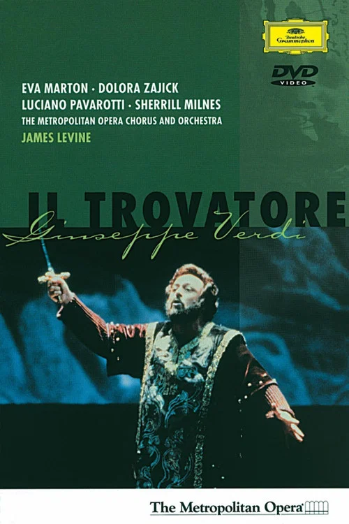 Постер: Il trovatore