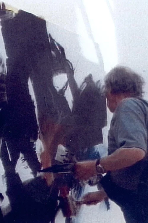 Постер: Miotte vu par Raúl Ruiz