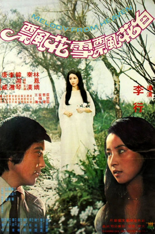 Постер: Bai hua piao xue hua piao