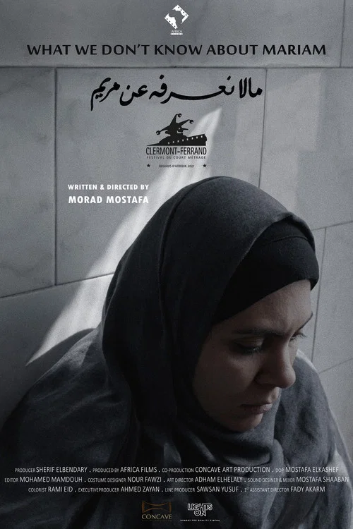 Постер: What We don't know about Mariam