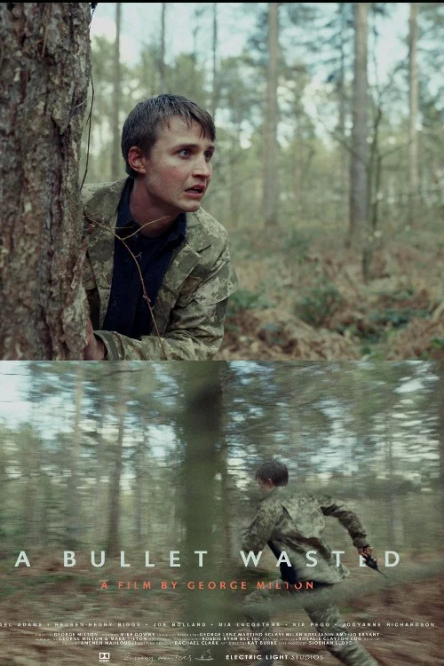 Постер: A Bullet Wasted