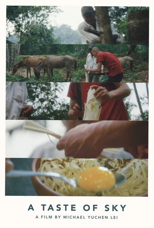 Постер: A Taste of Sky