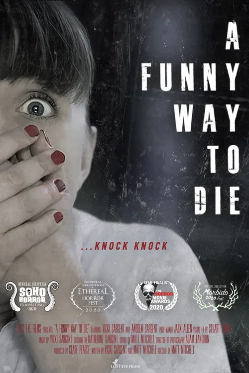 Постер: A Funny Way to Die