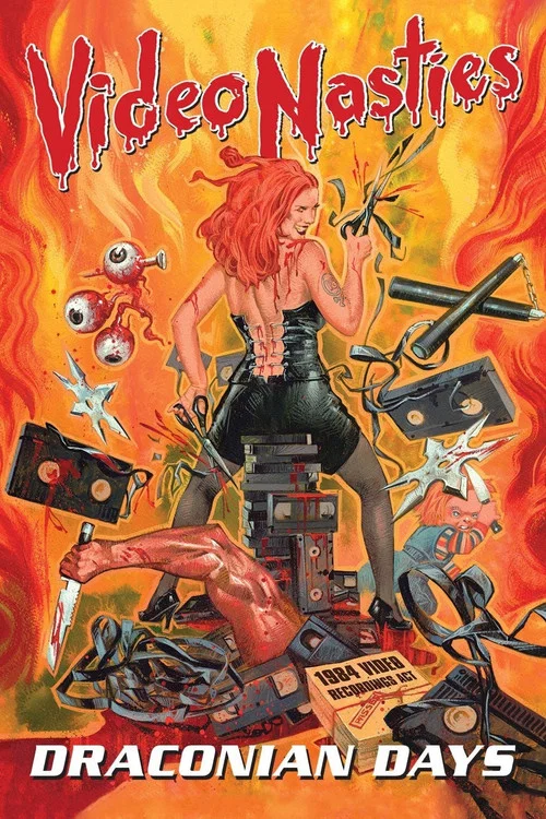 Постер: Video Nasties: Draconian Days