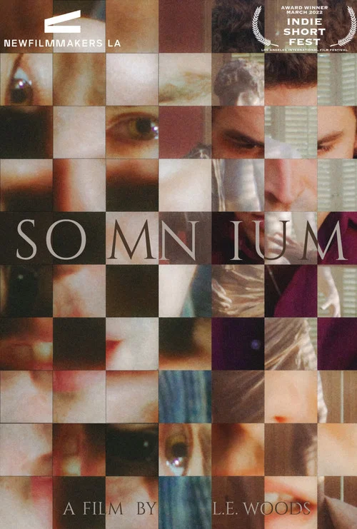 Постер: Somnium