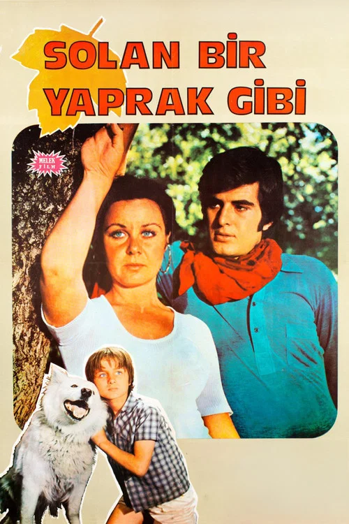 Постер: Solan Bir Yaprak Gibi
