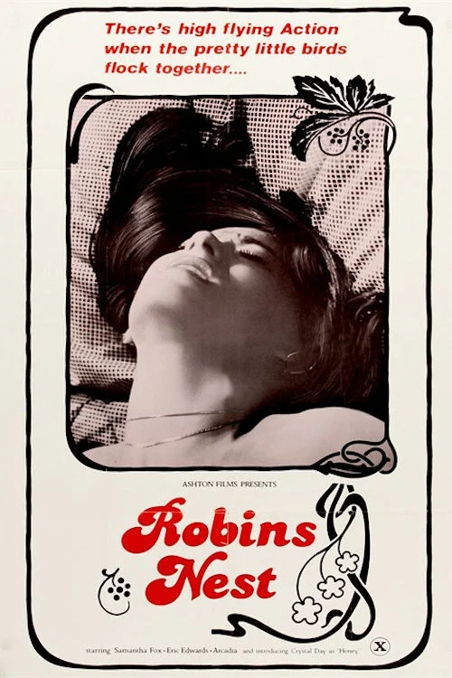 Постер: Robin's Nest