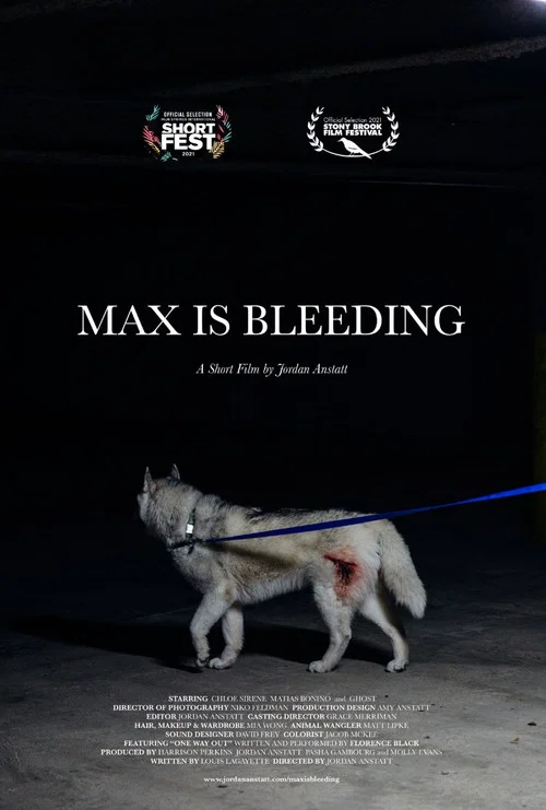 Постер: Max is Bleeding